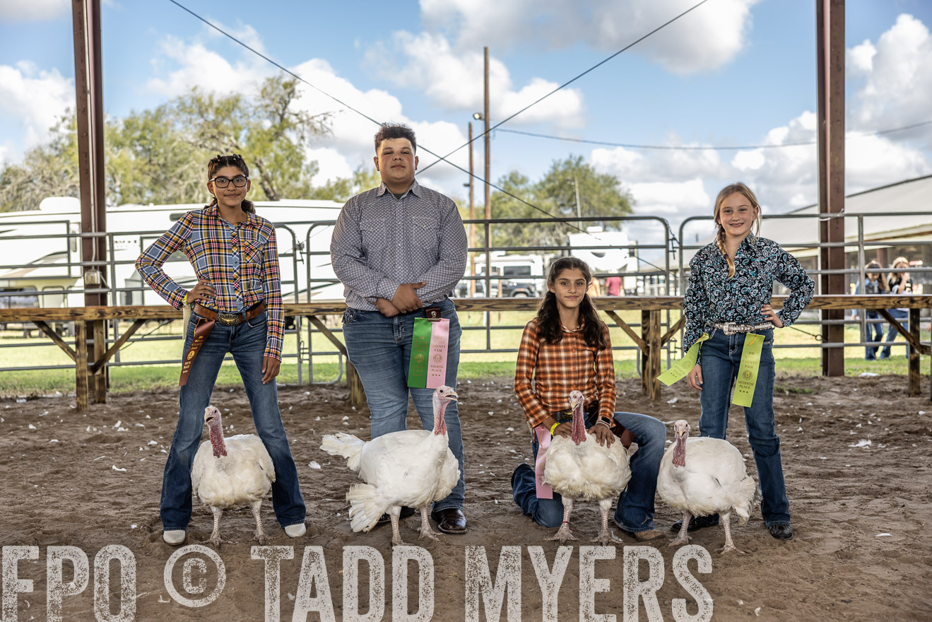 TMyers_PlotTwist_HEB_AliceTX_Oct2024-519375