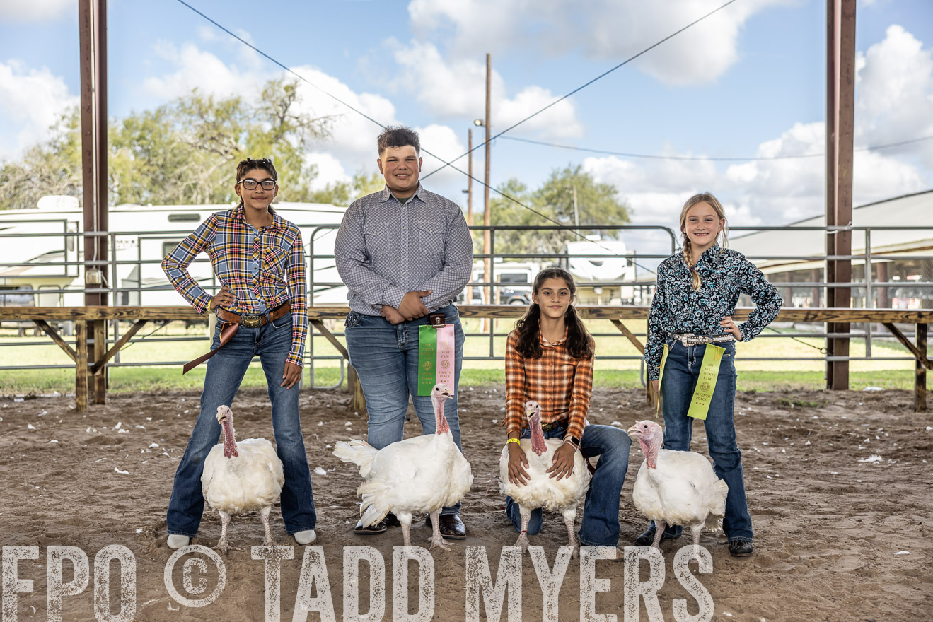 TMyers_PlotTwist_HEB_AliceTX_Oct2024-519376