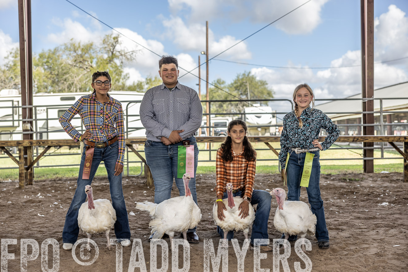 TMyers_PlotTwist_HEB_AliceTX_Oct2024-519379