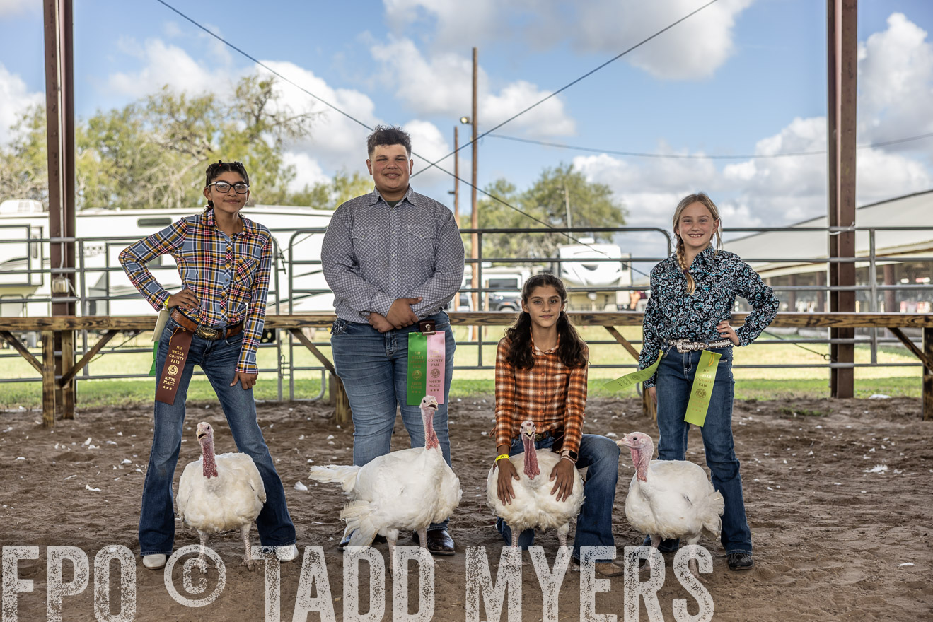 TMyers_PlotTwist_HEB_AliceTX_Oct2024-519380