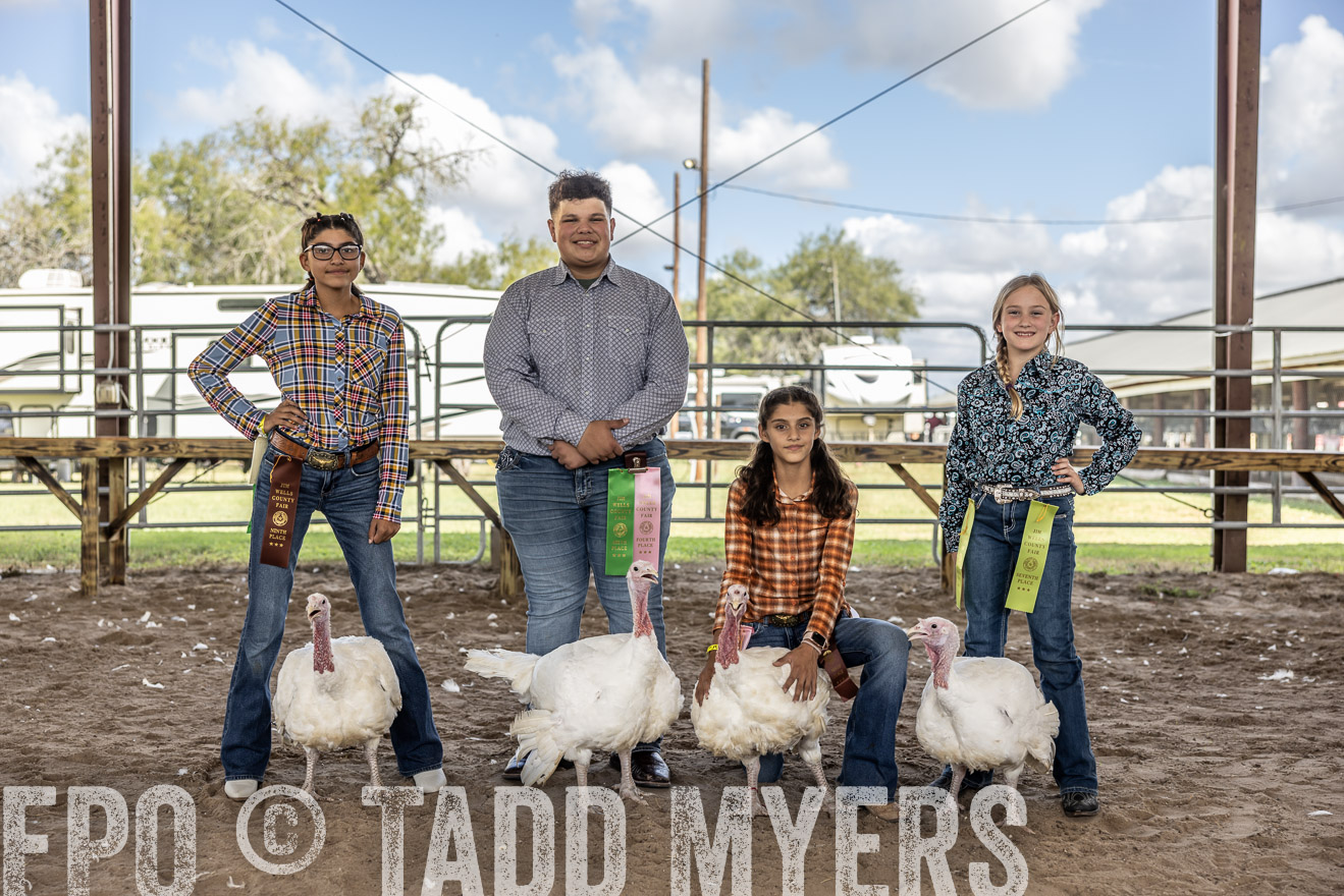 TMyers_PlotTwist_HEB_AliceTX_Oct2024-519381