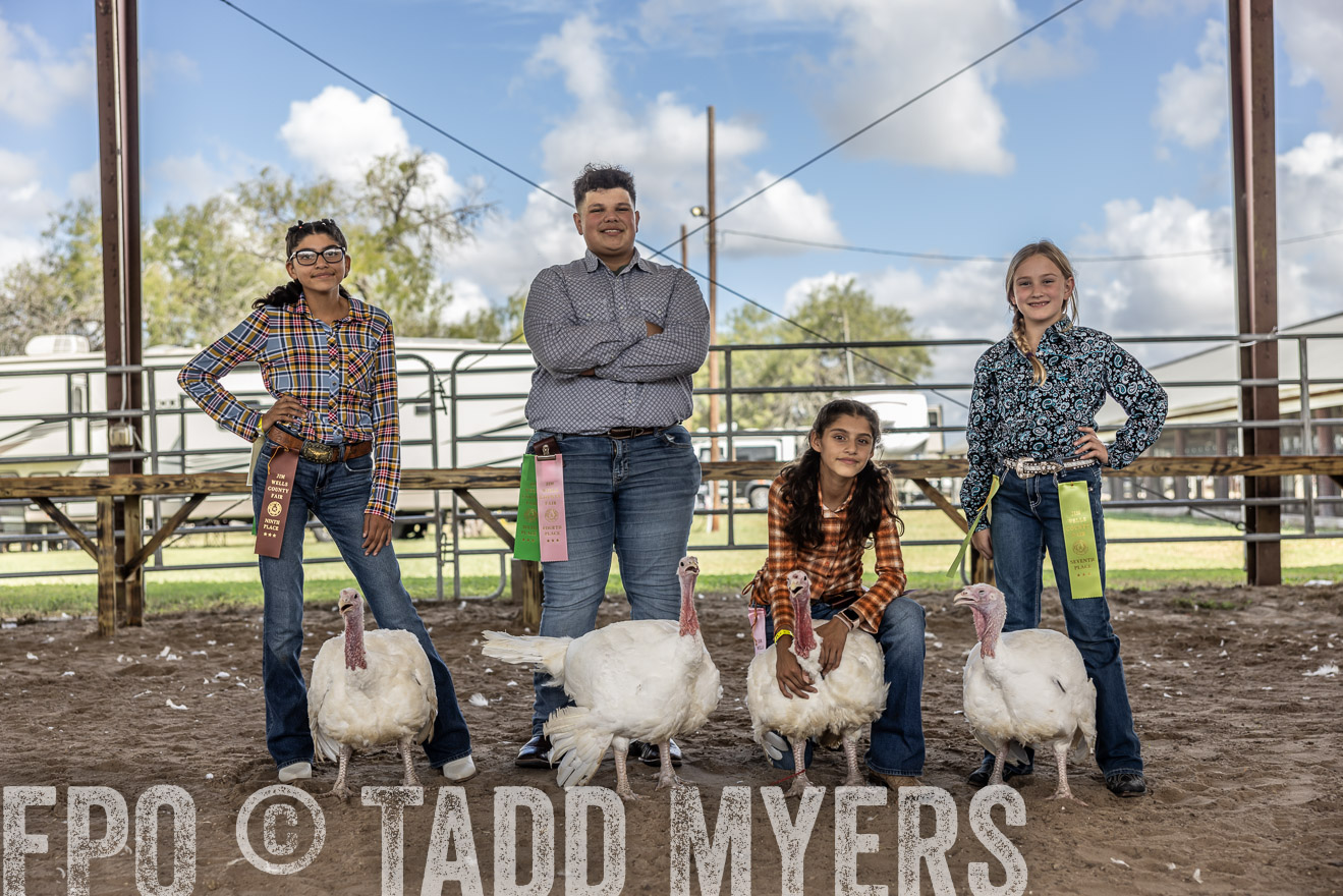 TMyers_PlotTwist_HEB_AliceTX_Oct2024-519395