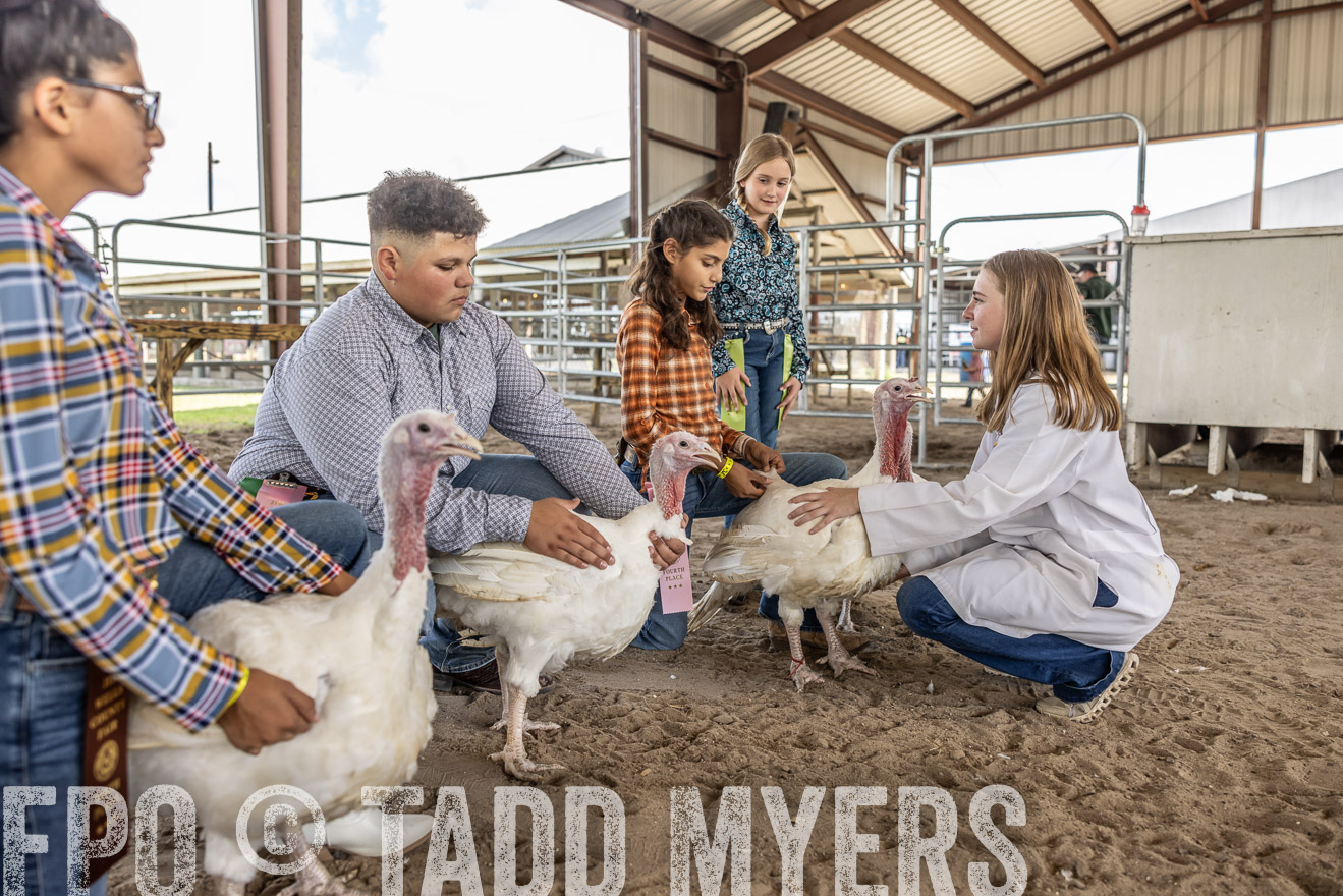TMyers_PlotTwist_HEB_AliceTX_Oct2024-519417
