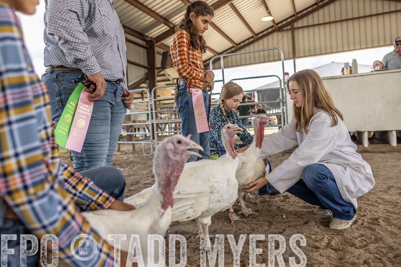 TMyers_PlotTwist_HEB_AliceTX_Oct2024-519437