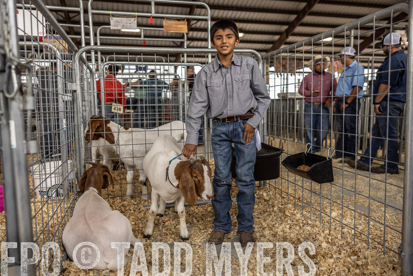 TMyers_PlotTwist_HEB_AliceTX_Oct2024-519607