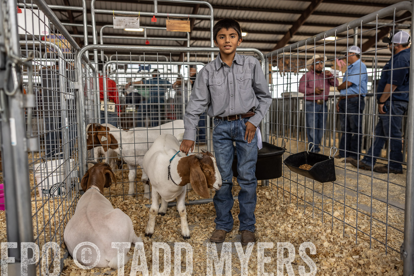 TMyers_PlotTwist_HEB_AliceTX_Oct2024-519610