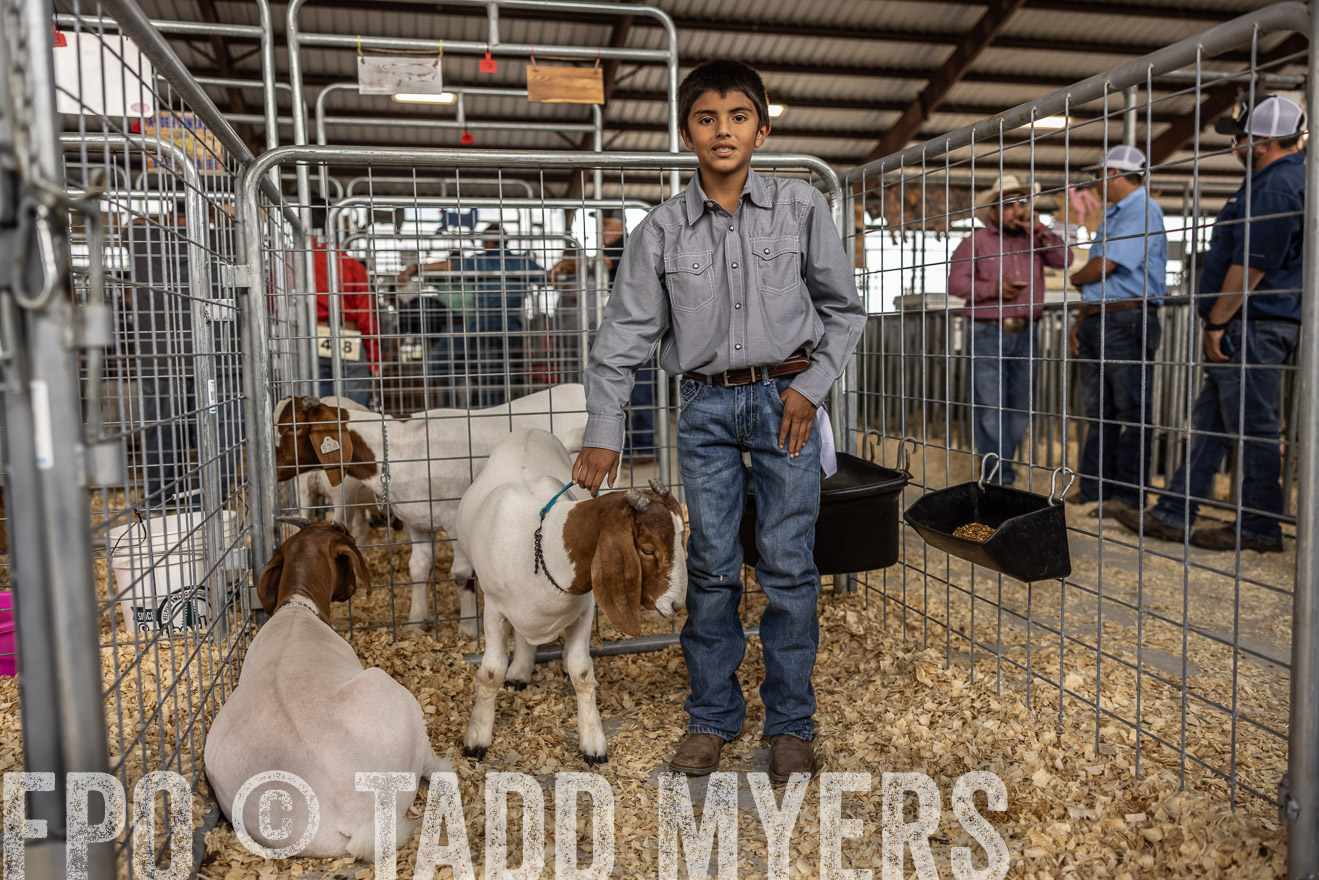 TMyers_PlotTwist_HEB_AliceTX_Oct2024-519611