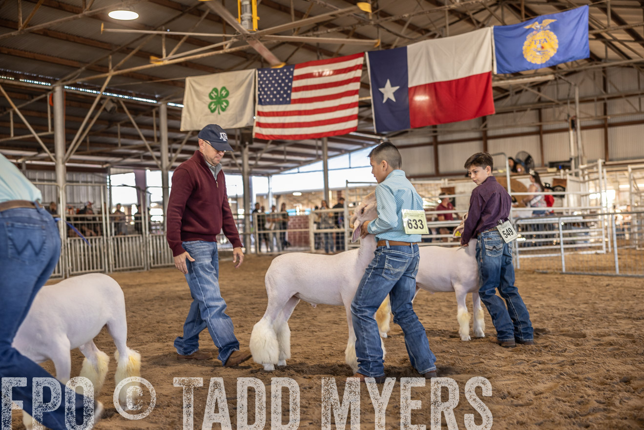 TMyers_PlotTwist_HEB_AliceTX_Oct2024-518569