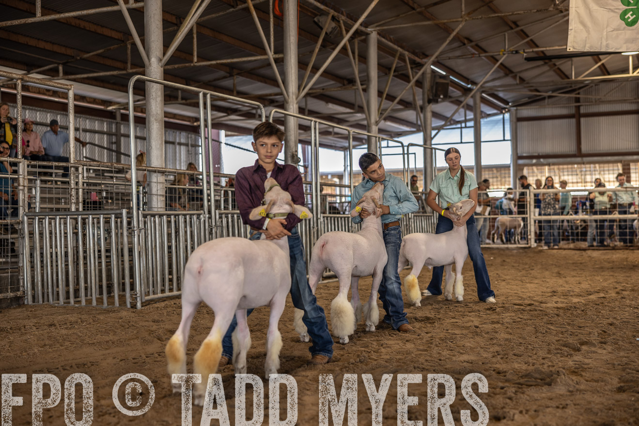 TMyers_PlotTwist_HEB_AliceTX_Oct2024-518599