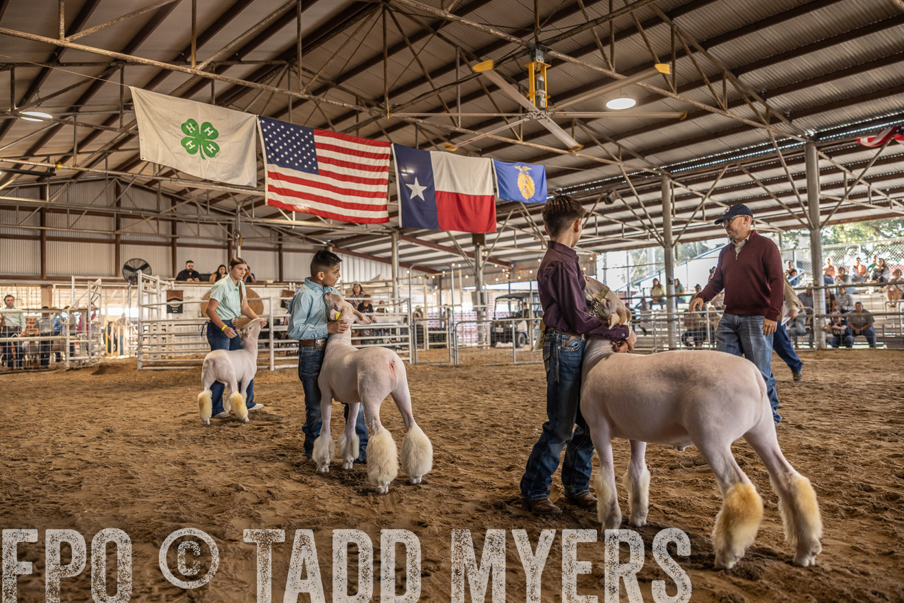 TMyers_PlotTwist_HEB_AliceTX_Oct2024-518632