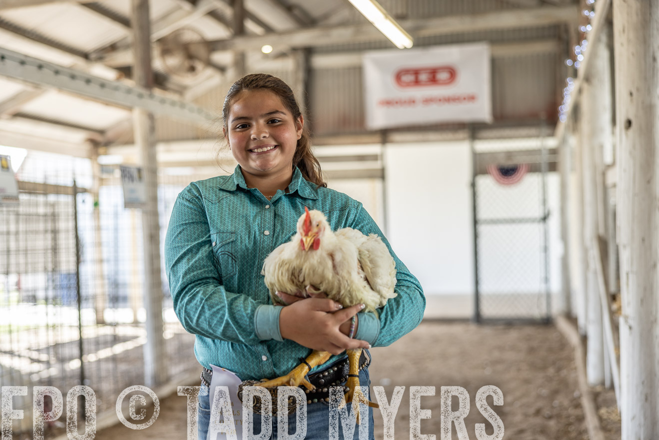 TMyers_PlotTwist_HEB_AliceTX_Oct2024-519136