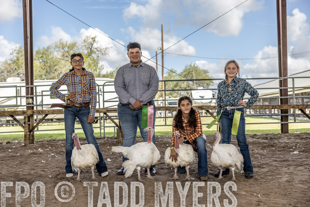 TMyers_PlotTwist_HEB_AliceTX_Oct2024-519387