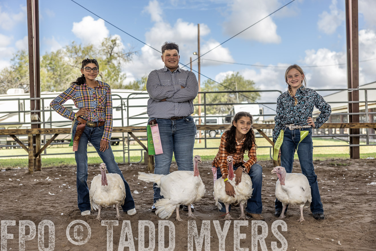 TMyers_PlotTwist_HEB_AliceTX_Oct2024-519400