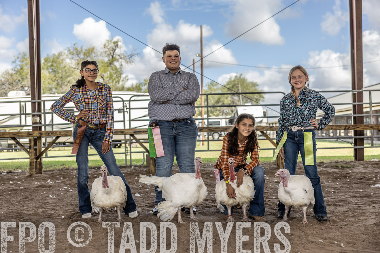 TMyers_PlotTwist_HEB_AliceTX_Oct2024-519401