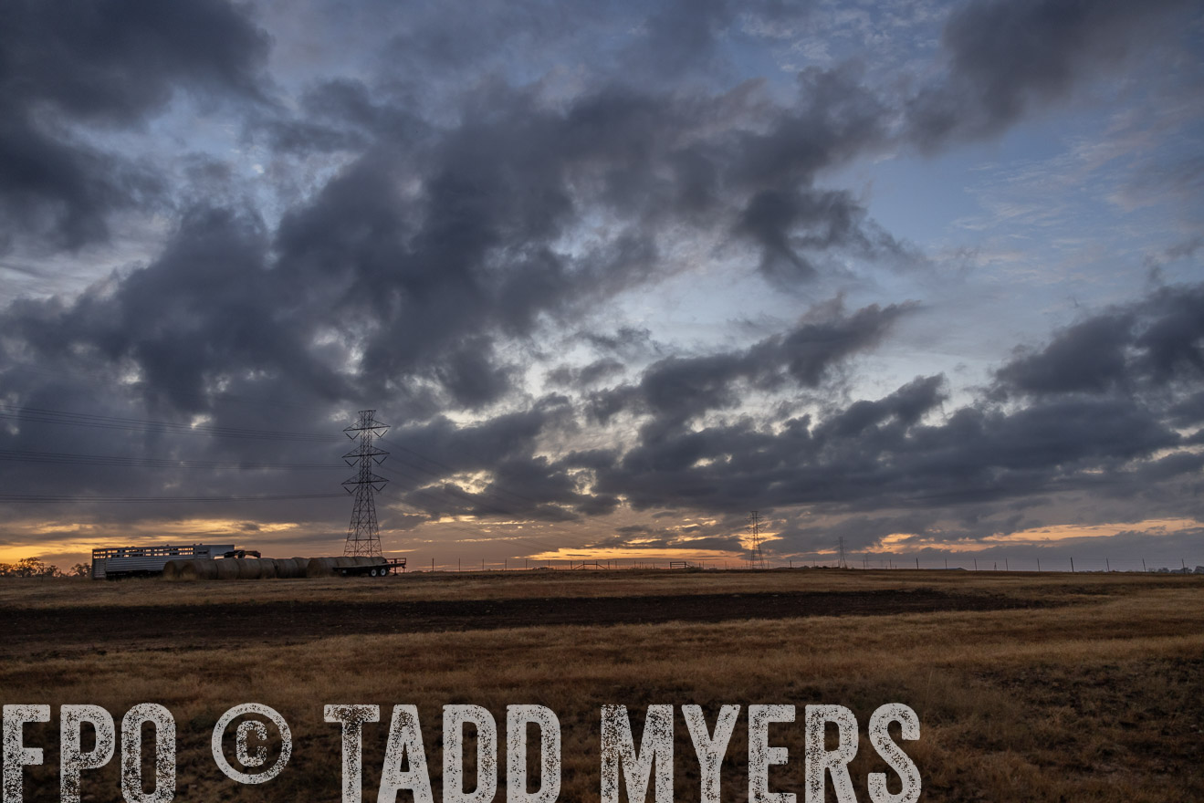 TMyers_PlotTwist_HEB_NewBerlinTX_Oct2024-514660