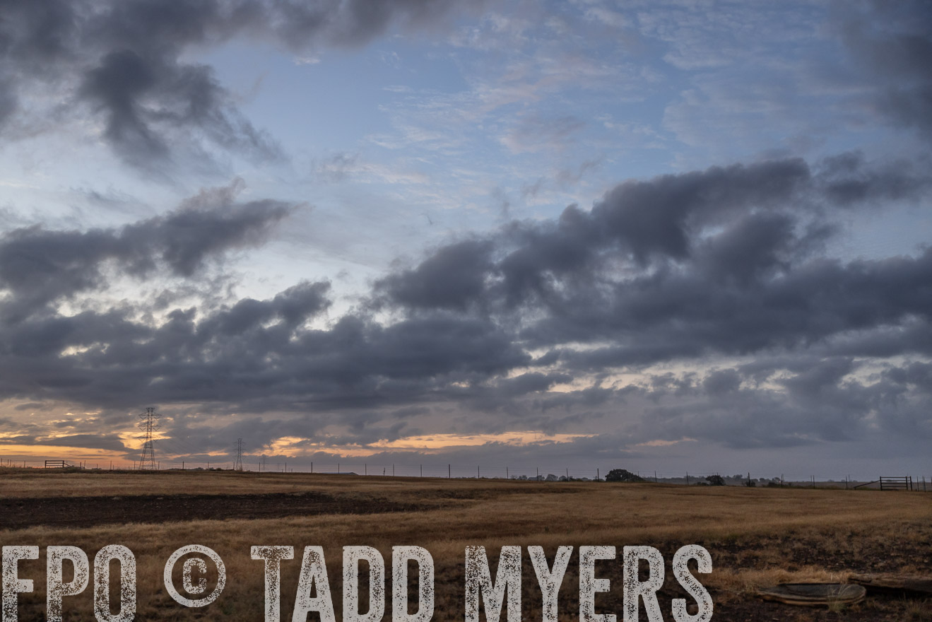 TMyers_PlotTwist_HEB_NewBerlinTX_Oct2024-514664