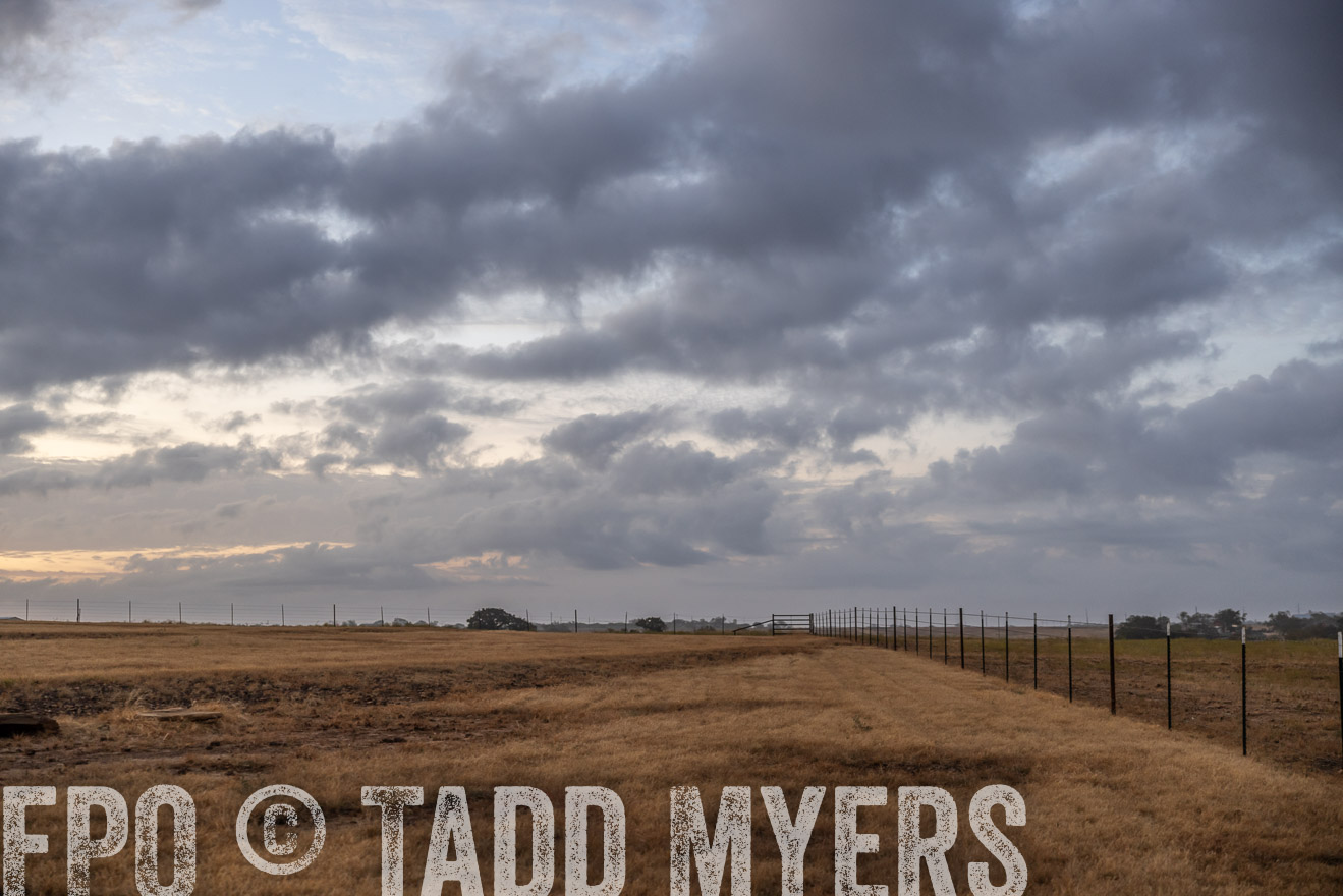 TMyers_PlotTwist_HEB_NewBerlinTX_Oct2024-514666