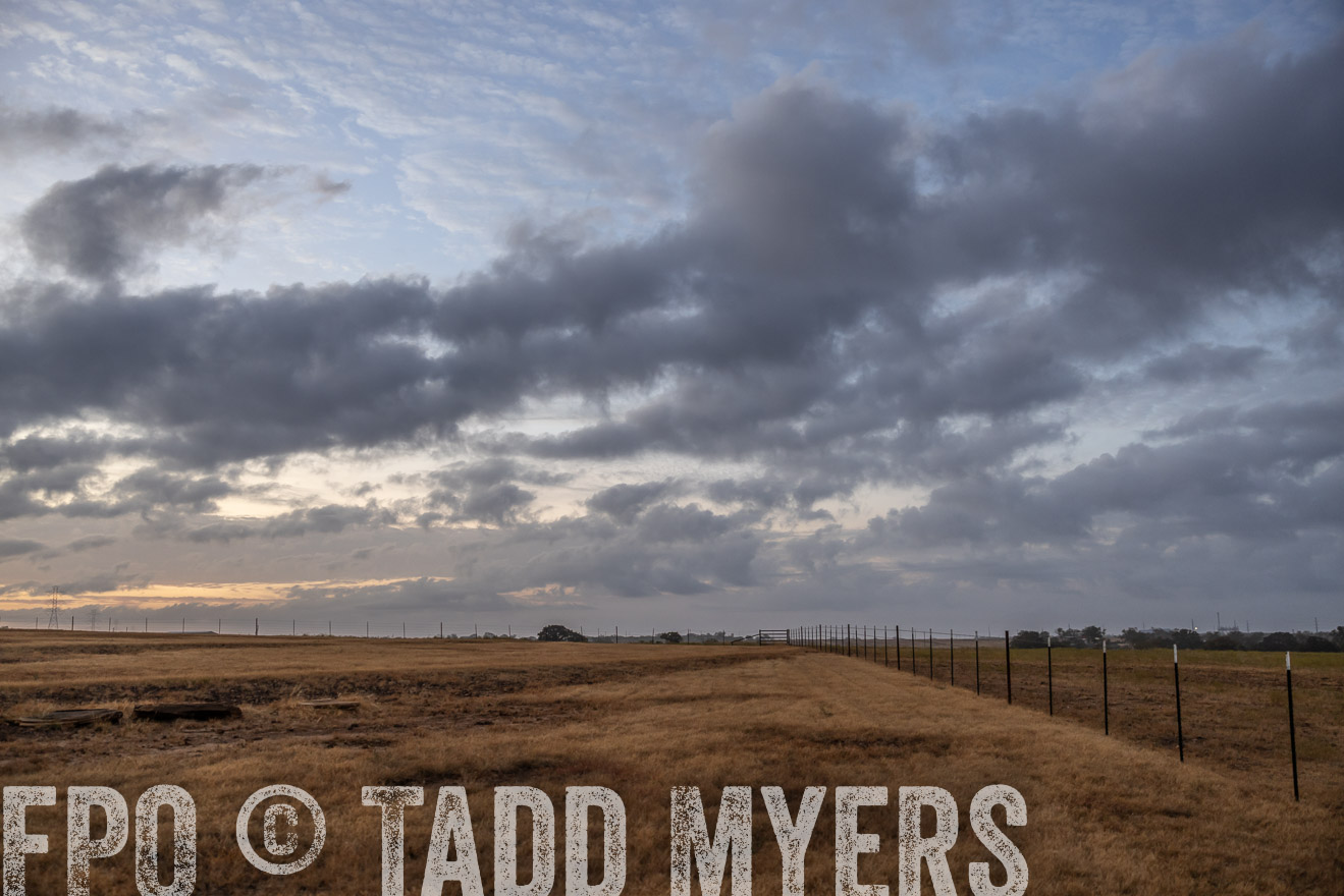 TMyers_PlotTwist_HEB_NewBerlinTX_Oct2024-514668