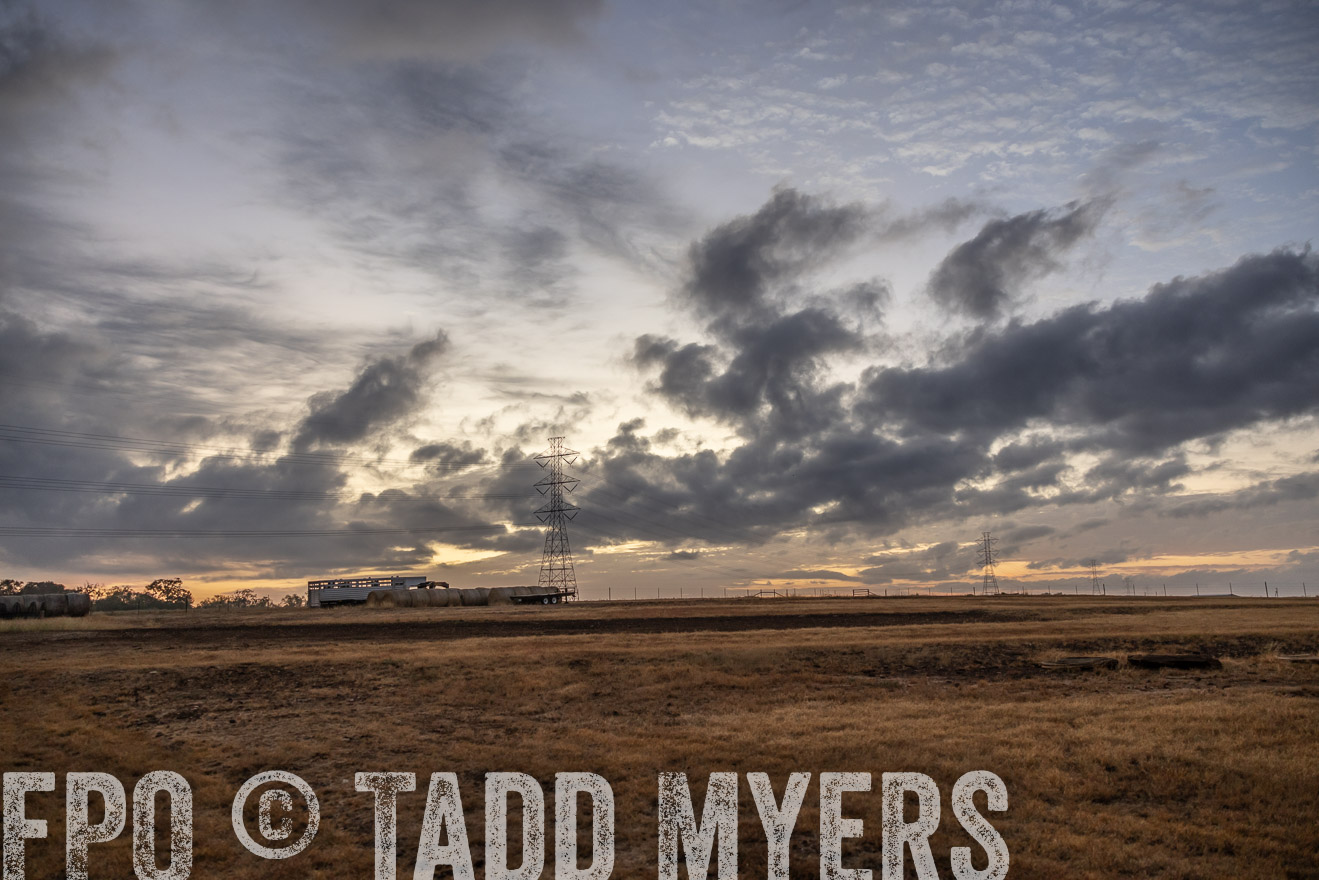 TMyers_PlotTwist_HEB_NewBerlinTX_Oct2024-514672