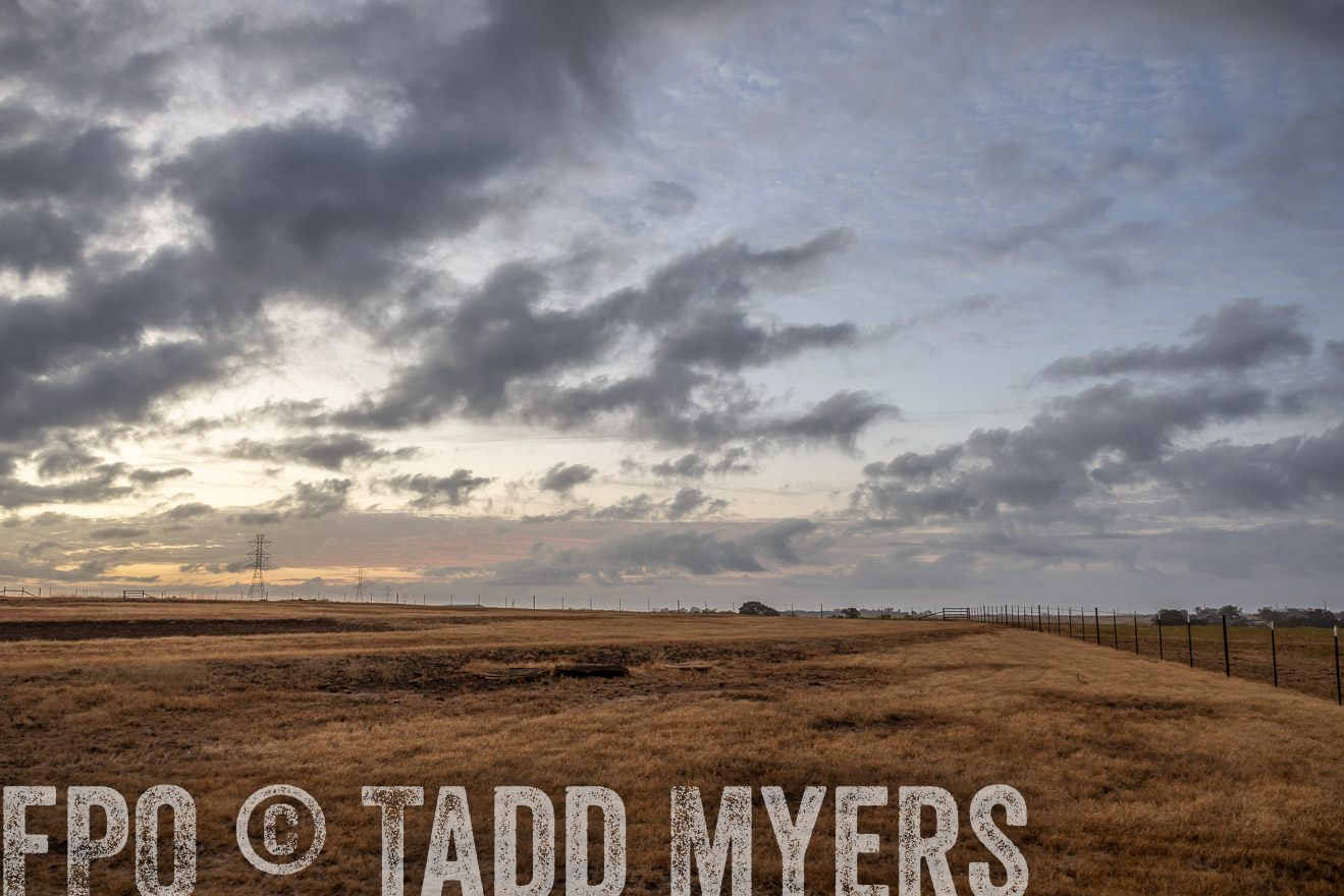 TMyers_PlotTwist_HEB_NewBerlinTX_Oct2024-514685
