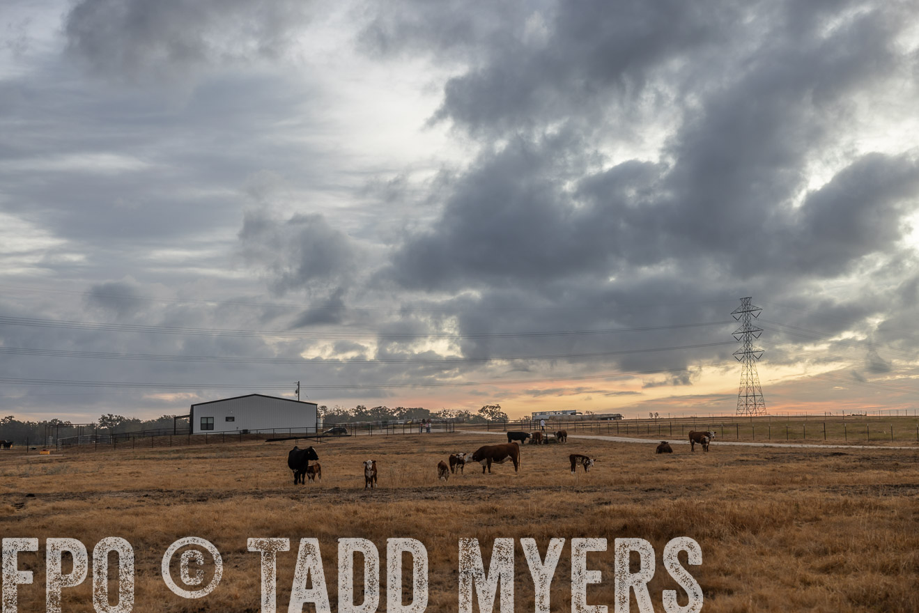 TMyers_PlotTwist_HEB_NewBerlinTX_Oct2024-514695