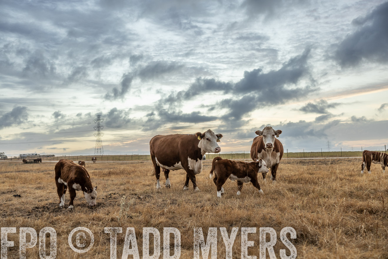 TMyers_PlotTwist_HEB_NewBerlinTX_Oct2024-514769