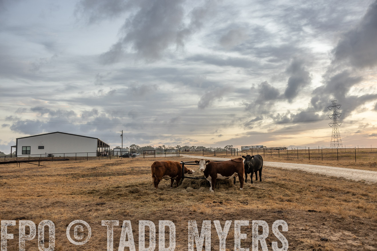 TMyers_PlotTwist_HEB_NewBerlinTX_Oct2024-514807