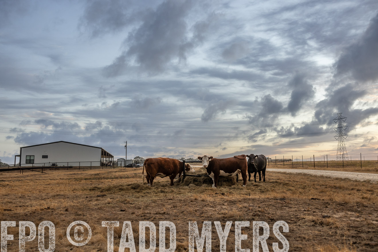 TMyers_PlotTwist_HEB_NewBerlinTX_Oct2024-514808