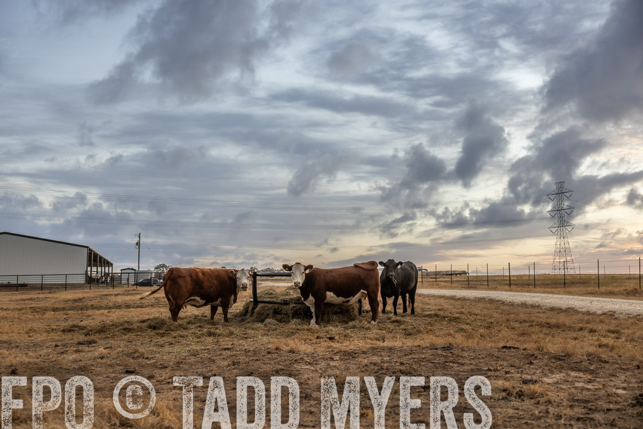 TMyers_PlotTwist_HEB_NewBerlinTX_Oct2024-514811
