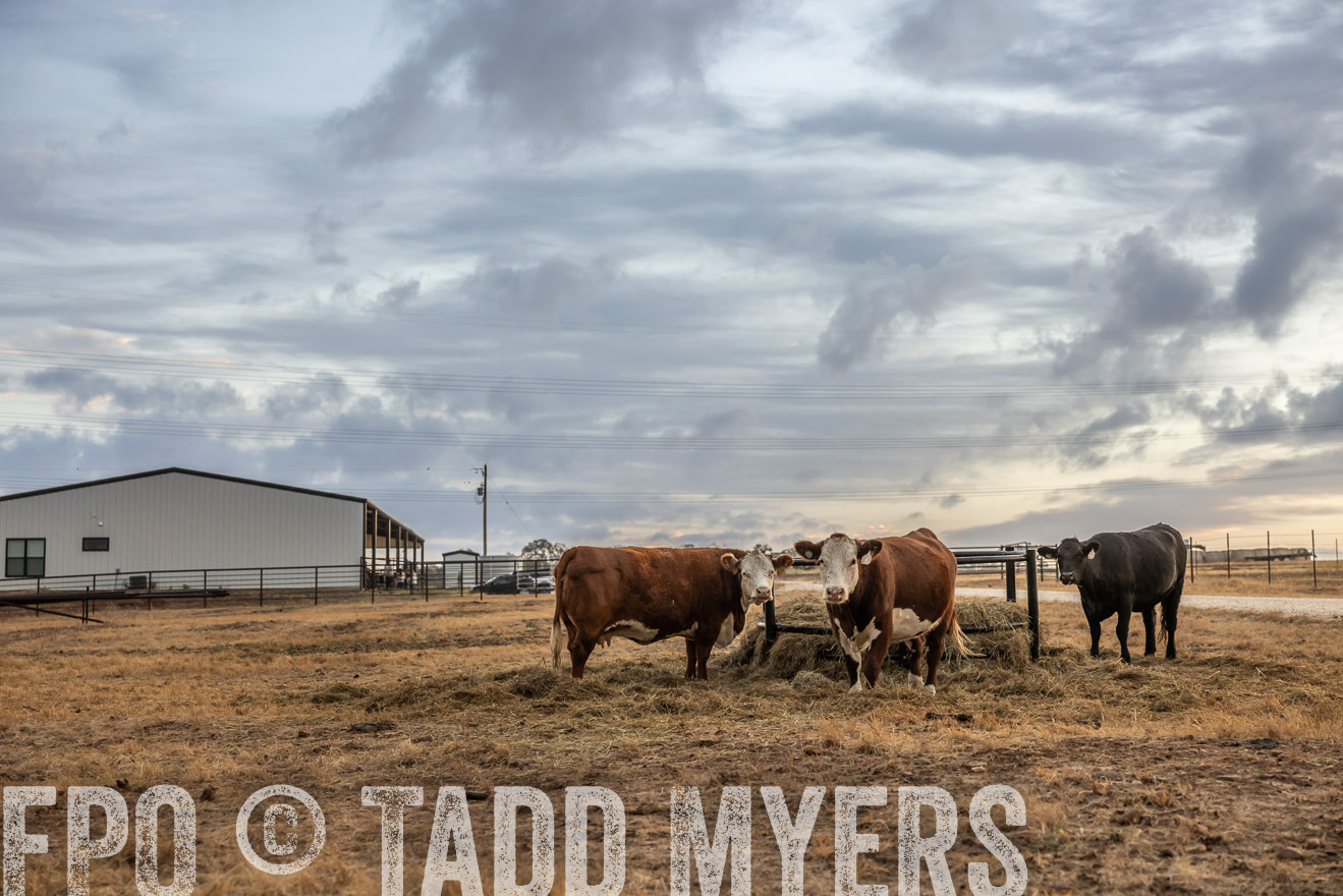 TMyers_PlotTwist_HEB_NewBerlinTX_Oct2024-514815