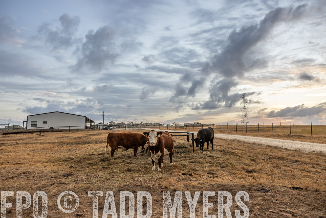 TMyers_PlotTwist_HEB_NewBerlinTX_Oct2024-514833