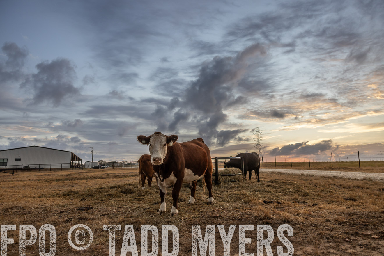 TMyers_PlotTwist_HEB_NewBerlinTX_Oct2024-514851