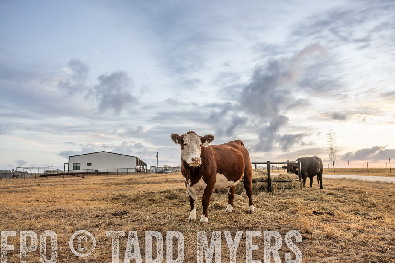 TMyers_PlotTwist_HEB_NewBerlinTX_Oct2024-514857