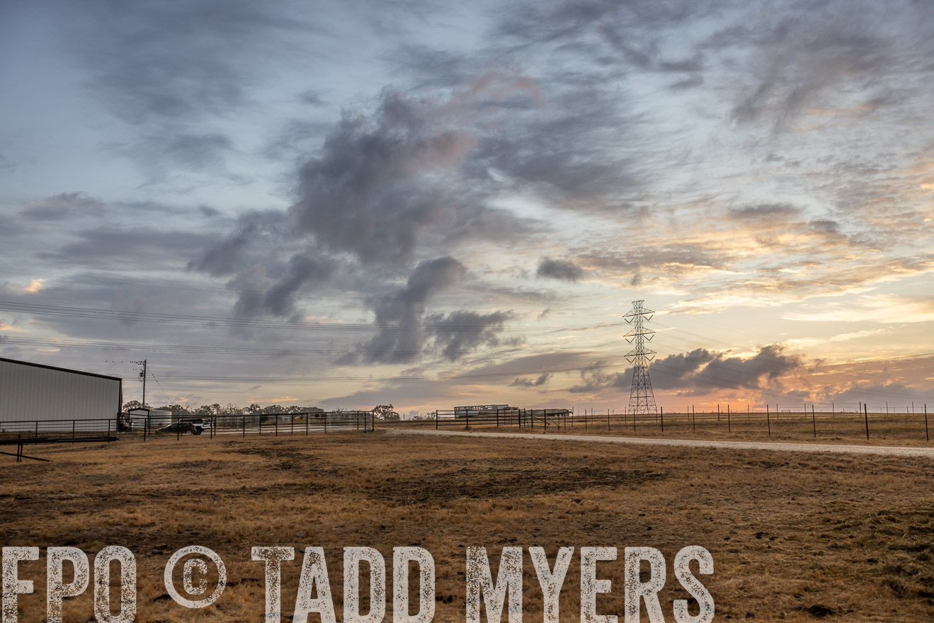 TMyers_PlotTwist_HEB_NewBerlinTX_Oct2024-514865