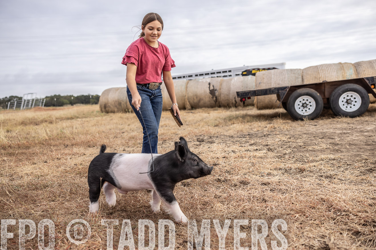 TMyers_PlotTwist_HEB_NewBerlinTX_Oct2024-516239