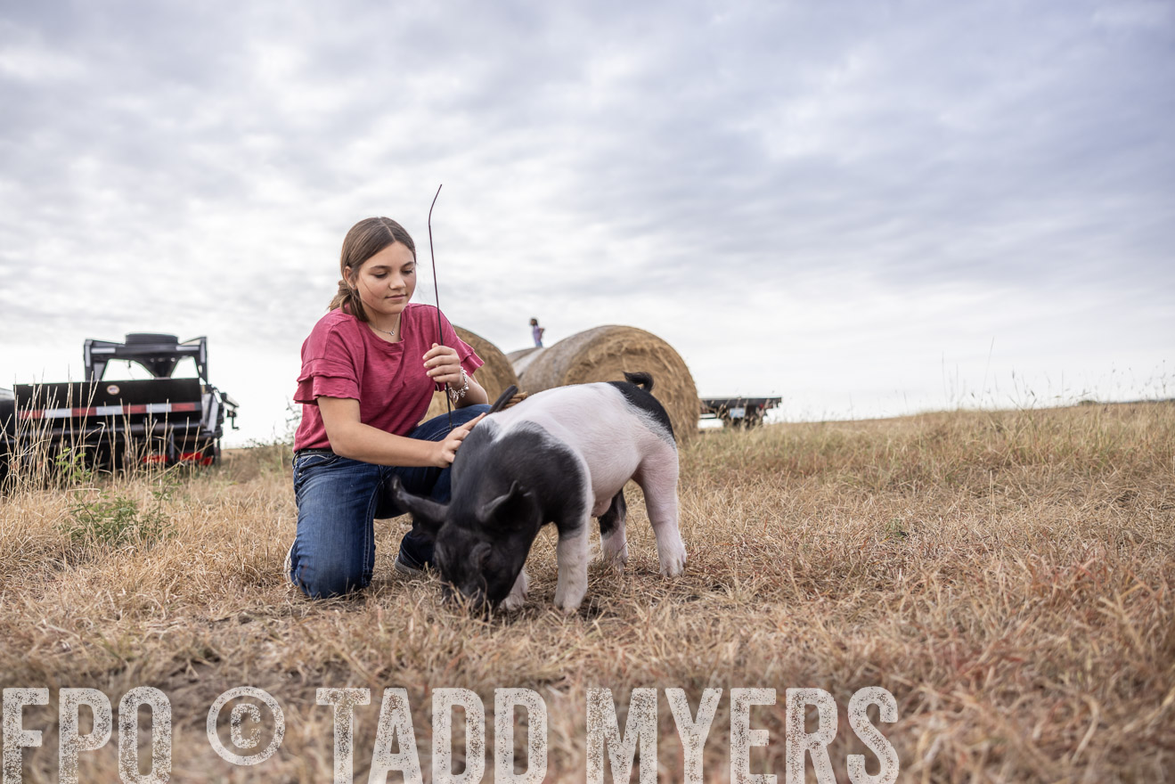 TMyers_PlotTwist_HEB_NewBerlinTX_Oct2024-516414