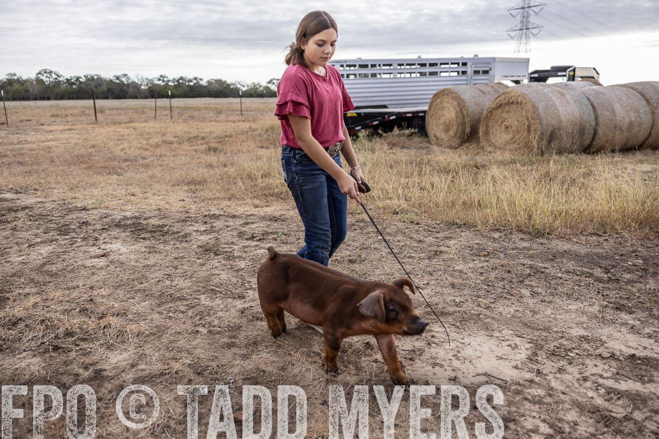 TMyers_PlotTwist_HEB_NewBerlinTX_Oct2024-516623