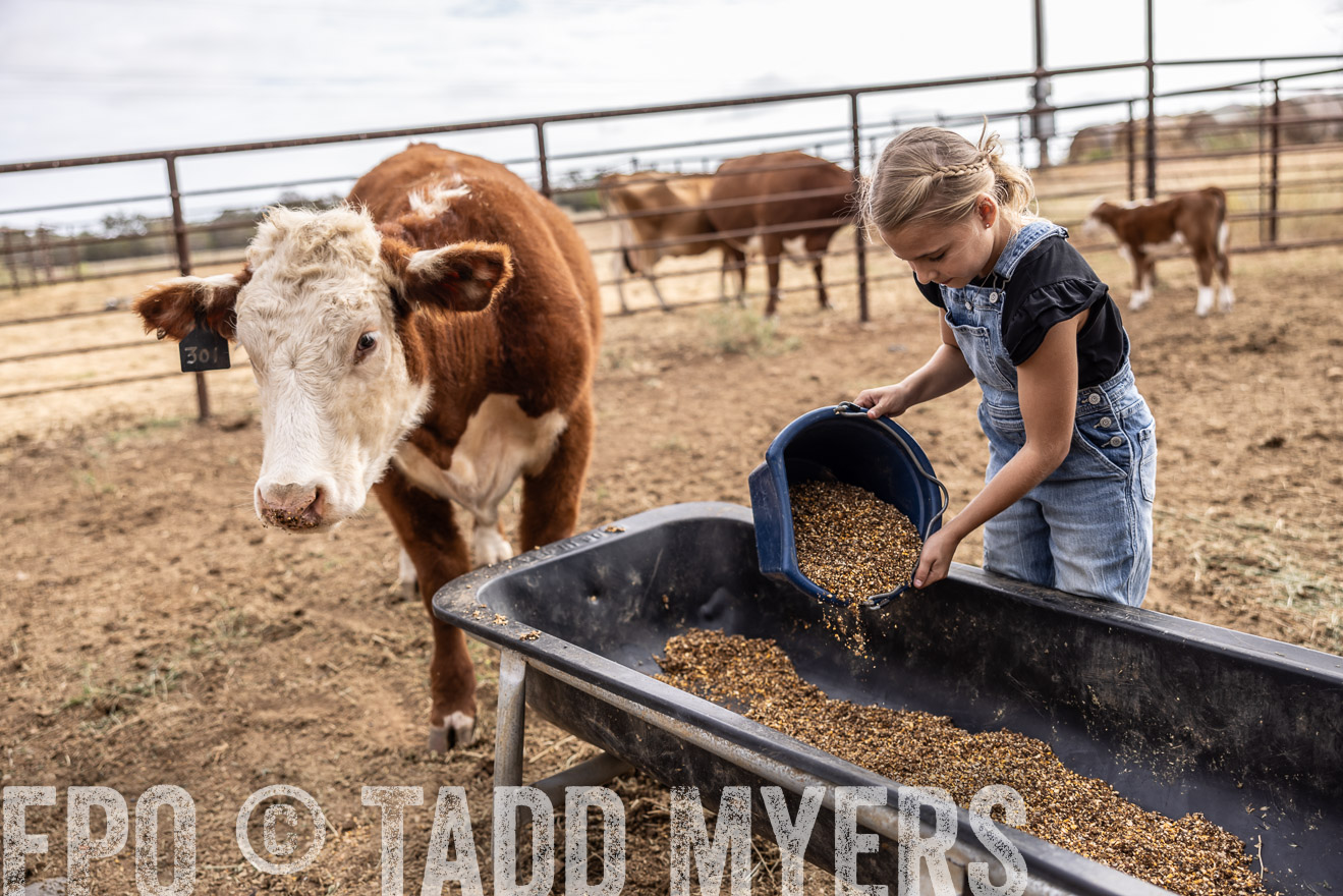 TMyers_PlotTwist_HEB_NewBerlinTX_Oct2024-517428