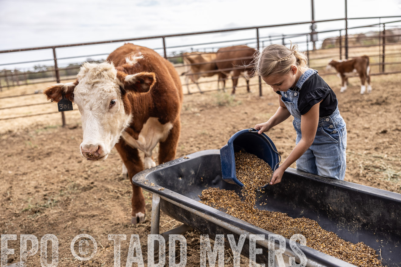TMyers_PlotTwist_HEB_NewBerlinTX_Oct2024-517429