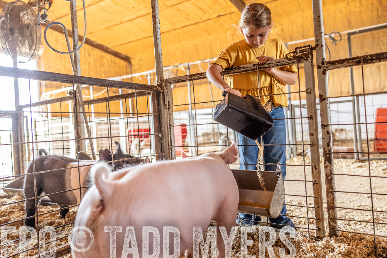 TMyers_PlotTwist_HEB_NewBerlinTX_Oct2024-517931
