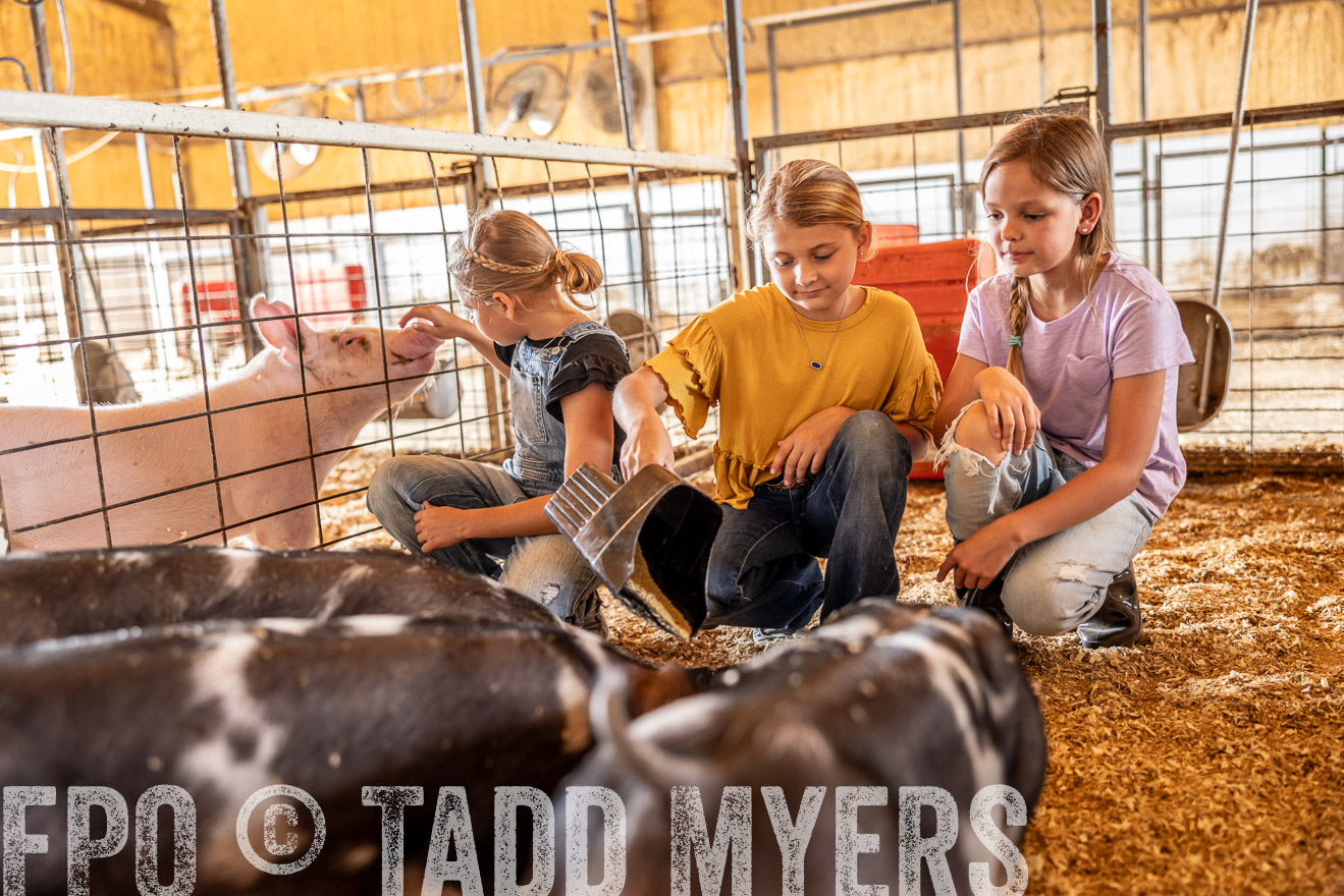 TMyers_PlotTwist_HEB_NewBerlinTX_Oct2024-518118