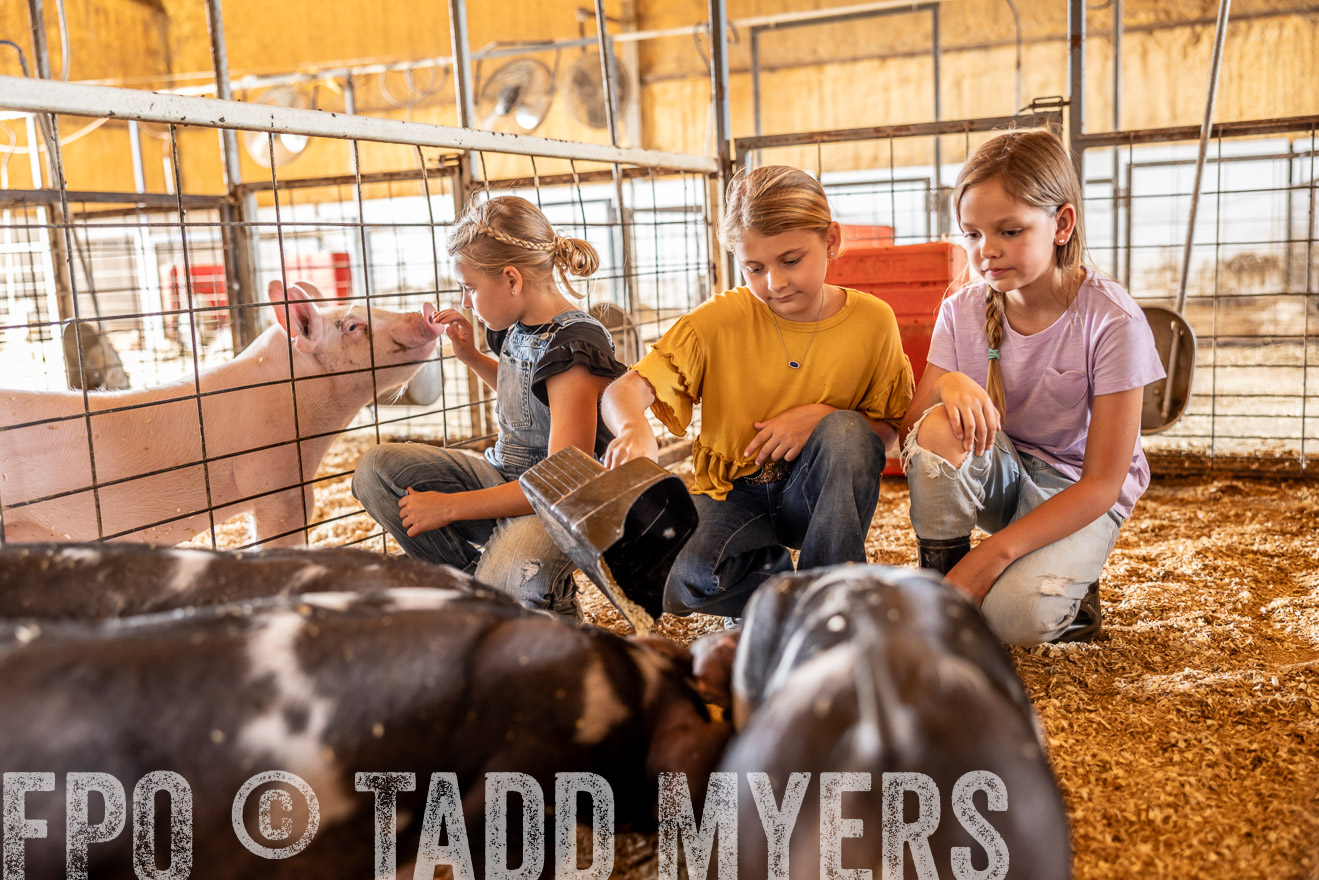 TMyers_PlotTwist_HEB_NewBerlinTX_Oct2024-518124
