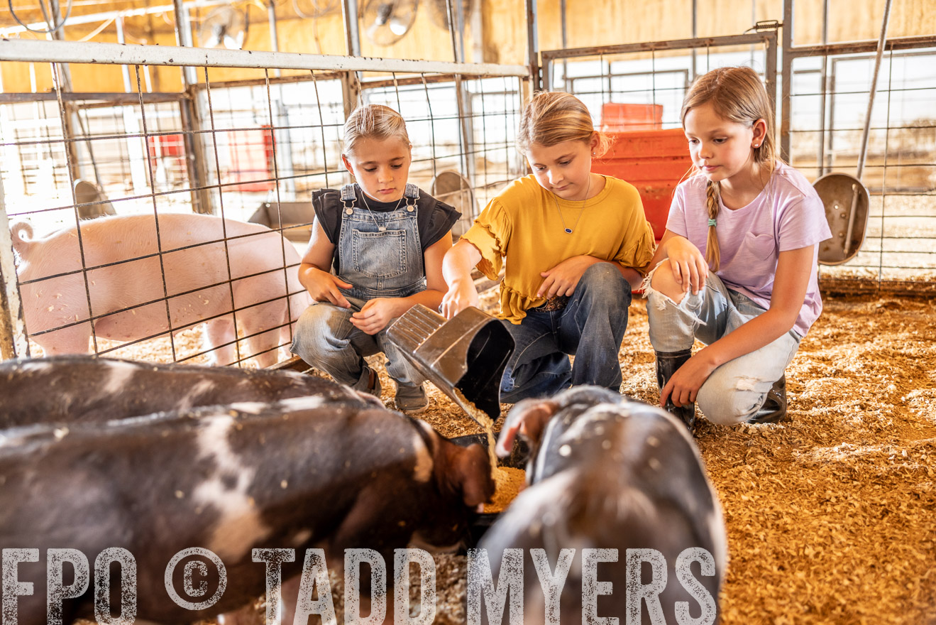 TMyers_PlotTwist_HEB_NewBerlinTX_Oct2024-518132