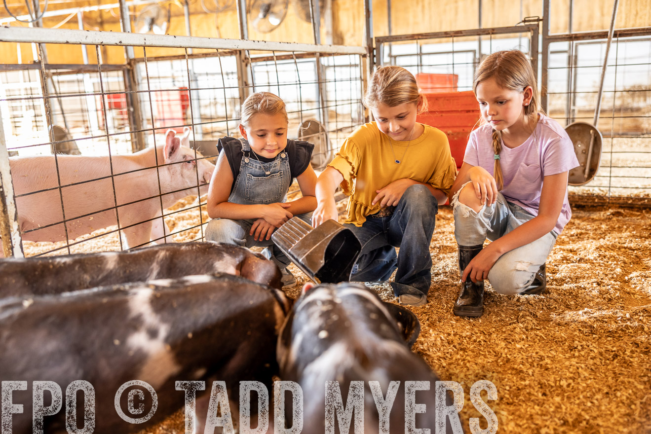 TMyers_PlotTwist_HEB_NewBerlinTX_Oct2024-518135