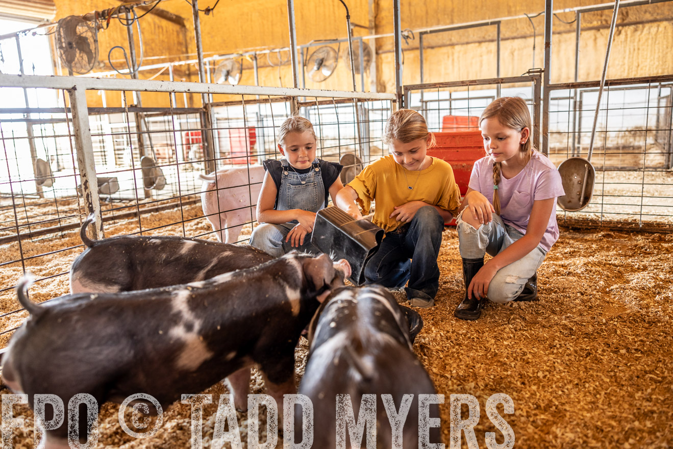 TMyers_PlotTwist_HEB_NewBerlinTX_Oct2024-518144