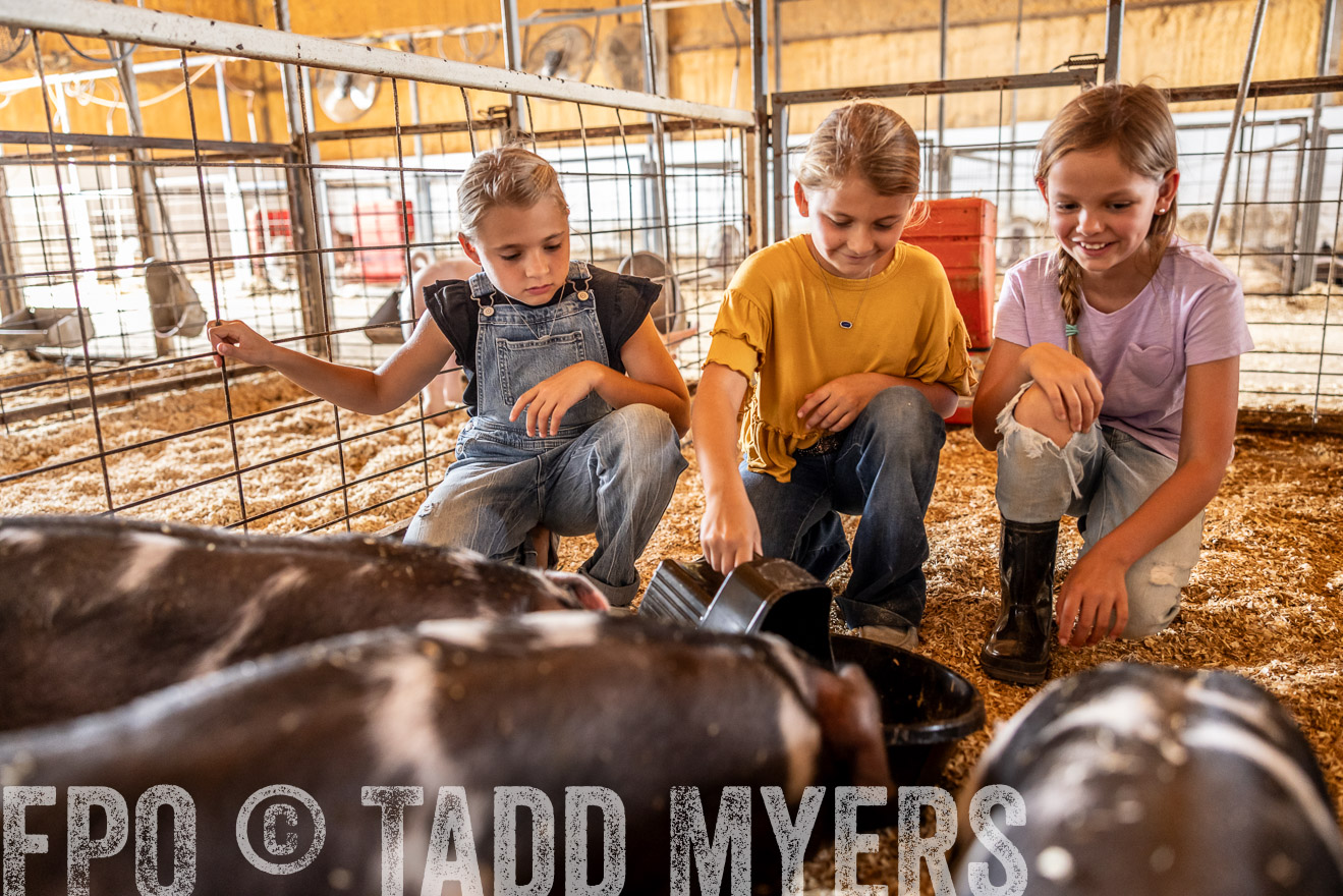 TMyers_PlotTwist_HEB_NewBerlinTX_Oct2024-518167