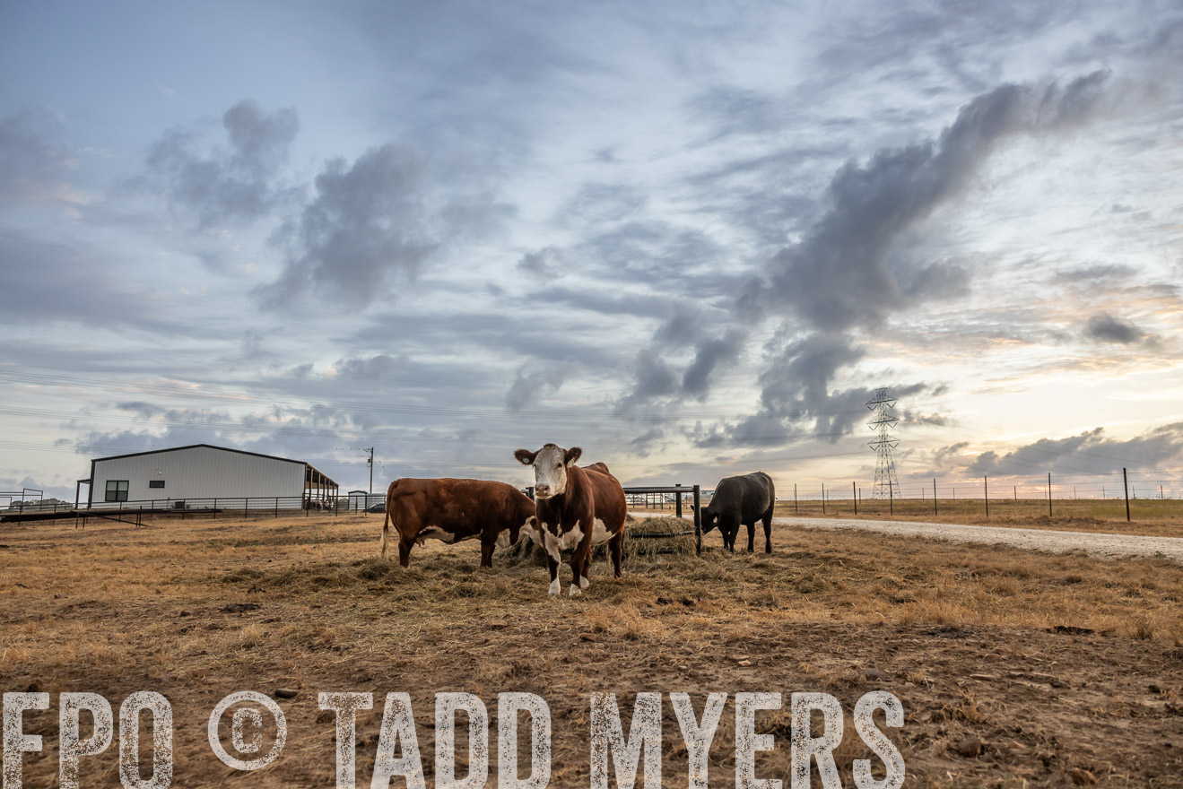 TMyers_PlotTwist_HEB_NewBerlinTX_Oct2024-514831