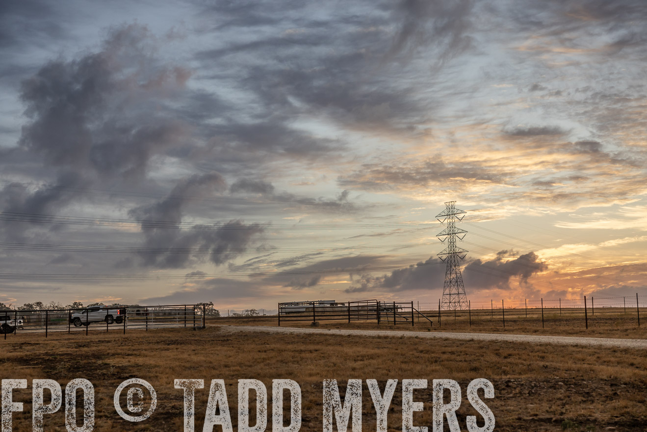 TMyers_PlotTwist_HEB_NewBerlinTX_Oct2024-514869