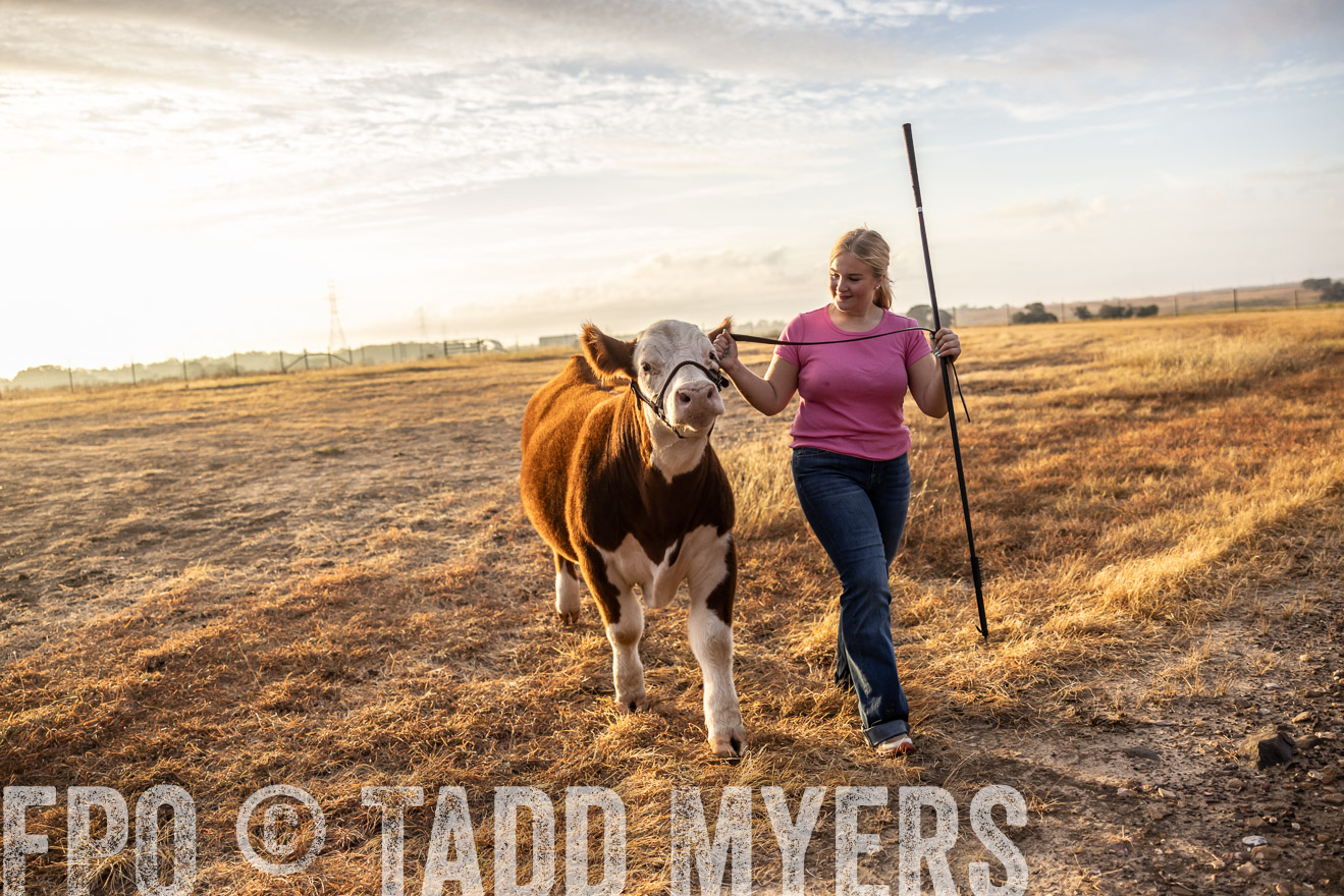 TMyers_PlotTwist_HEB_NewBerlinTX_Oct2024-515271