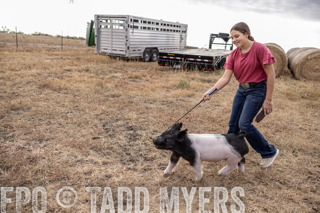 TMyers_PlotTwist_HEB_NewBerlinTX_Oct2024-516298